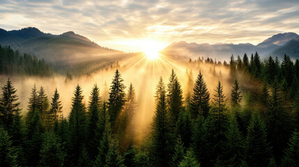 Golden sunrise over misty forest with rays of light illuminating trees and mountains