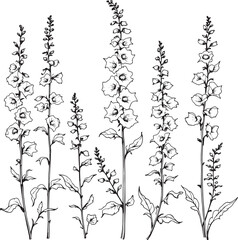 Fototapeta premium foxglove line art elegant floral design invites calm serene beauty