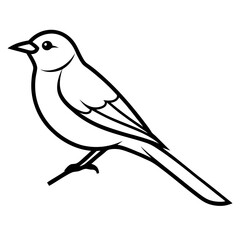 Elegant line art of a bird on a detailed branch