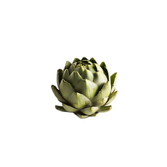 Obraz premium Minimalist Artichoke Still Life