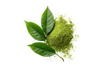 Green matcha powder and fresh tea leaves isolated on transparent background
