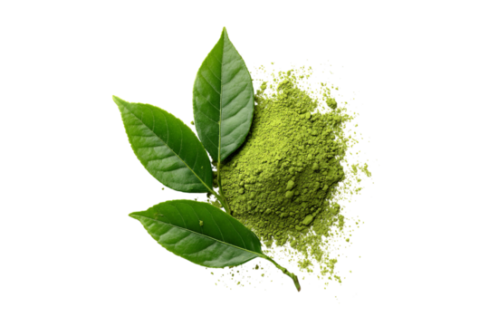 Green matcha powder and fresh tea leaves isolated on transparent background