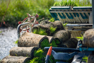 Professional local Asian farmer and agriculture vehicle machine transplant rice seediing in a paddy field in the open sky day.