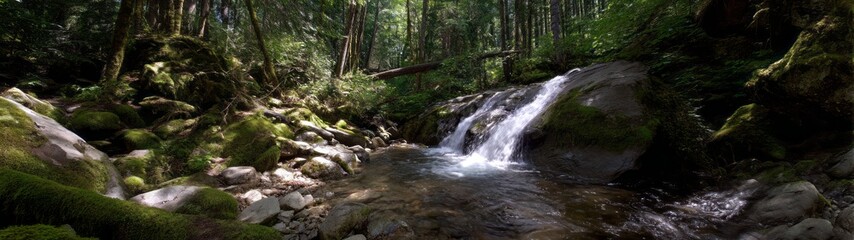 Obraz premium Exploring nature's serenity 360 degrees hdr waterfall panorama in lush forest environment