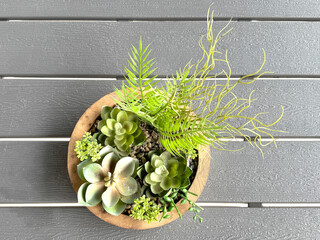Artistic pot with flowers, cactus, and fern leaves as a table plant decoration on top of grey table...
