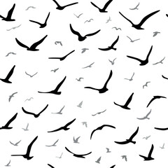 Flock of flying silhouette birds. Birds seamless pattern. White seagulls on a blue background. Vector