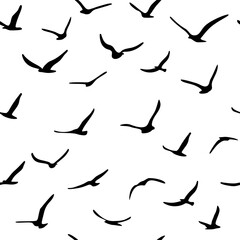 Flock of flying silhouette birds. Birds seamless pattern. White seagulls on a blue background. Vector