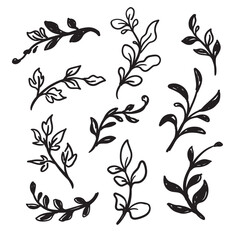 Collection of hand drawn botanical elements and floral sprigs in a black and white style
