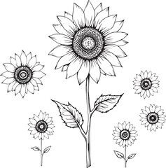 Sunflower line art elegant floral inspired minimal invited calm joy