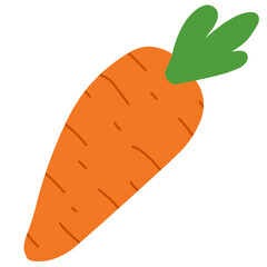 carrot vector illustration