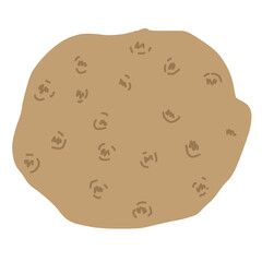 chocolate chip cookie