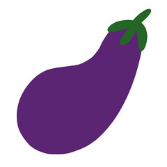eggplant vector illustration