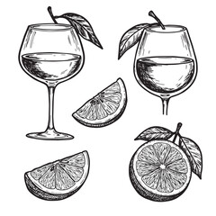 Elegant hand drawn illustration featuring wine glasses citrus slices and leaves for drinks