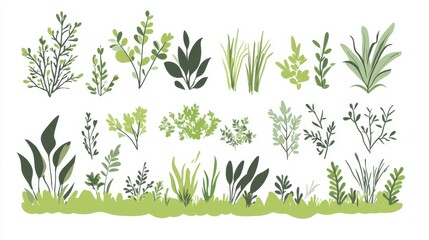 Fototapeta premium 105.A minimalist vector design featuring green flat bushes and shrubs, each with simple lines and shapes. The set includes stylized grass elements and abstract trees, creating a clean and