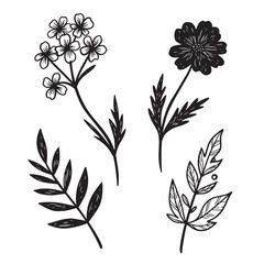 Hand drawn botanical elements of flowers and leaves in minimalist black and white style