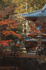 a temple in Nikko, Japan with traditional roof architecture exterior during momiji season. Autumn foliage