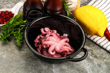Marinated baby octopus snack appetizer
