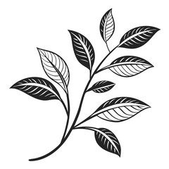 Fototapeta premium Tea branch illustration design