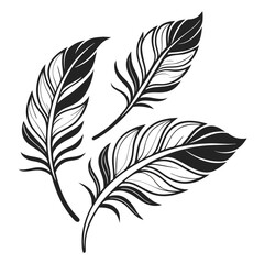 Obraz premium Three black and white feathery illustrations