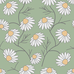 Seamless pattern with camomiles