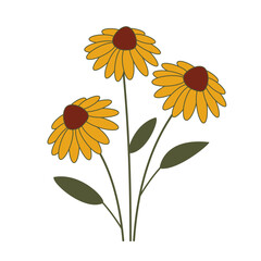 Black-eyed Susan flowers isolated 