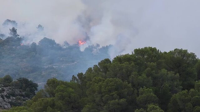 Incendio forestal en el parque natural Font Roja en julio de 2025, Ibi, Espa&ntilde;a