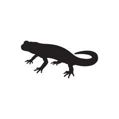 Fototapeta premium Lizard salamander animal. Vector image on white back ground