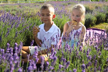 Two children are seated in a vibrant lavender field, snacking contentedly. The sun shines brightly,...