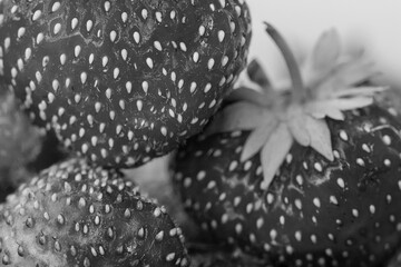monochrome close-up of beautiful ripe strawberries, summer berry, strawberry harvest, strawberry...