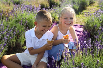 Two children are sitting on a blanket in a lavender field, laughing and eating ice cream cones on a...