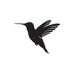 Obraz premium Hummingbird animal silhouette. Vector image on white background