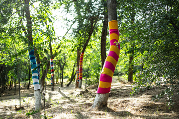 Tree trunks covered in multi-colored stockings. Elista, Kalmykia. July 2025.