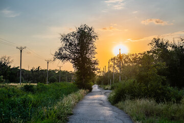 Outskirts of Elista, Republic of Kalmykia, July 2025.