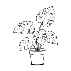 Monstera Deliciosa Line Art in Pot, Minimal Black and White Botanical Illustration
