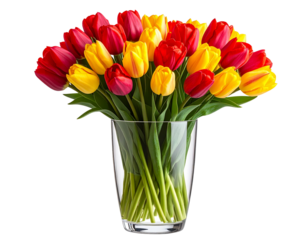  Crystal Clear Glass Flower Vase with Fresh Tulips, isolated on transparent background PNG