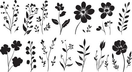 Elegant Floral Silhouettes A Versatile Collection of Botanical Elements for Design