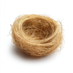 Fototapeta premium Empty bird's nest on white background