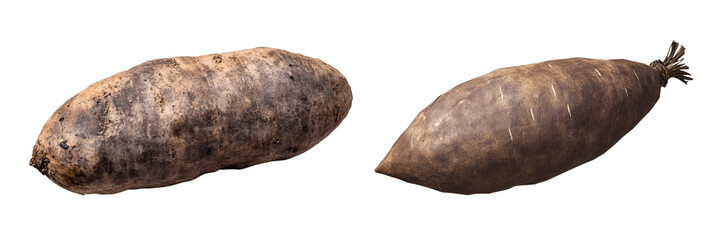  Set of a wild yam, isolated on transparent background.