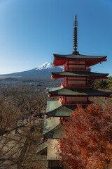 the iconic Chureito Pagoda with Mount Fuji in the background, set against a vibrant autumn...