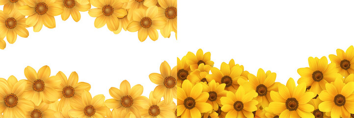 Set of a Yellow daisies border a frame, isolated on transparent background. 