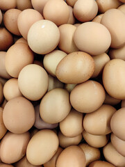 brown eggs background