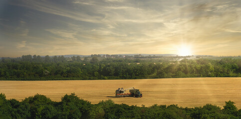 Wheat field harvesting at sunset with vibrant landscapes and sustainable farming practices