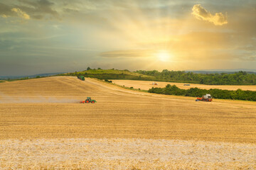 Wheat field at sunset with tractors working for sustainable agriculture practices. Panoramic wallpaper with sun rays. Copy space background.