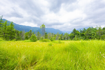 高原の景色