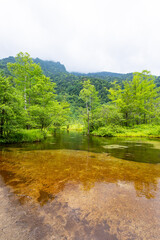 Fototapeta premium 高原の景色