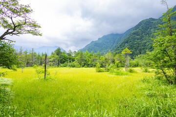 高原の景色