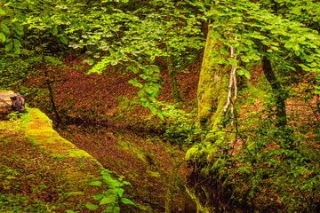 Fototapeta premium The Rigole de la Montagne Noire is an irrigation channel located in the Tarn department of France. It was built in the 19th century to supply water to the Canal du Midi, bringing water from the Montag