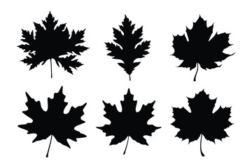 set of autumn leaves silhouette vector, autumn leaf icon bundle
