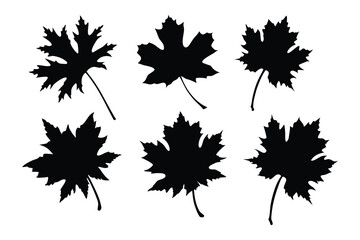 set of autumn leaves silhouette vector, autumn leaf icon bundle