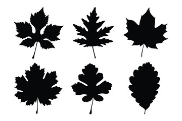 set of autumn leaves silhouette vector, autumn leaf icon bundle